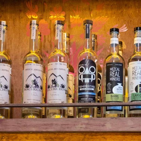 Mezcal bottles in Mezcalerita Bar on January 04, 2020 in Oaxaca, Mexico. Oaxaca is well recognized for its Mezcal distillate, the ancestral beverage has an appellation of origin and is now well known around the world - but many perceptions of the agave spirit are incorrect.