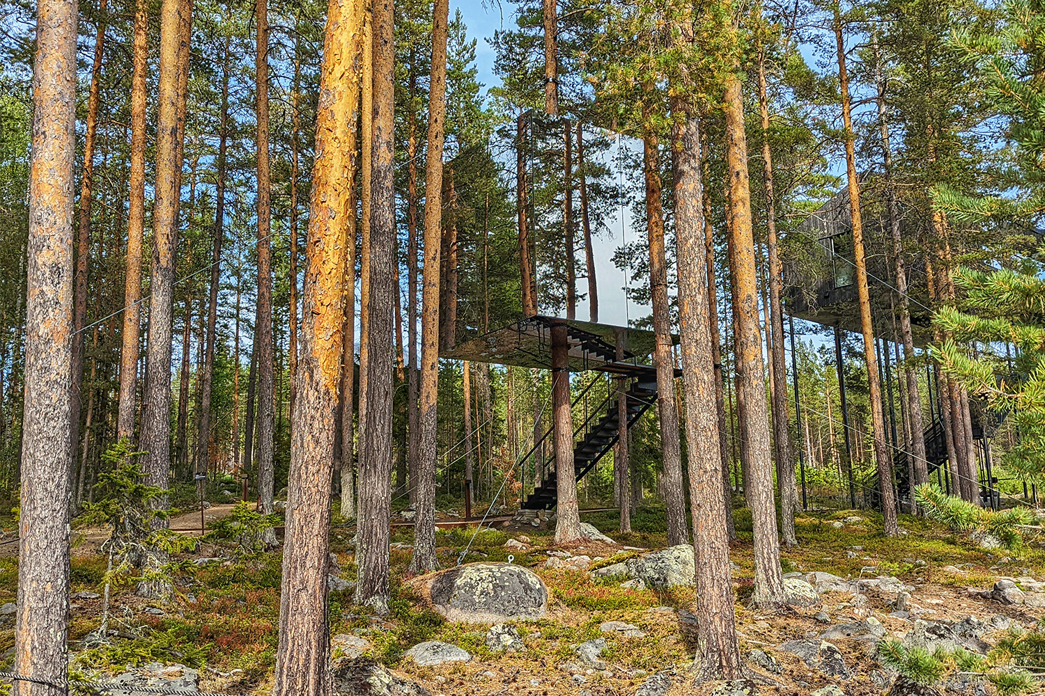 The Mirrorcube, a treehouse room at Sweden's Treehotel