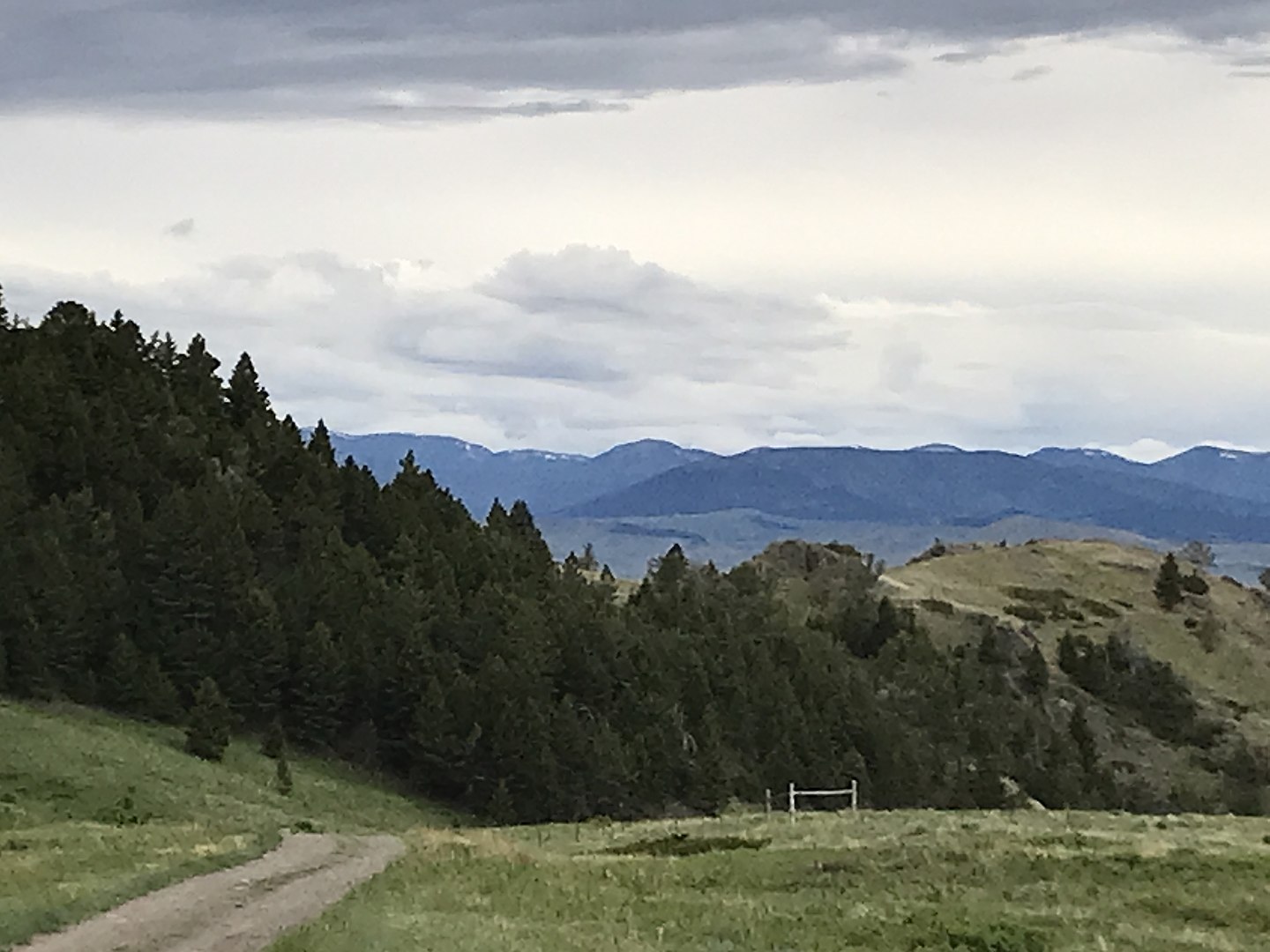 Montana