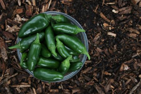 Revisiting the Culinary History of Pickled Jalapeños