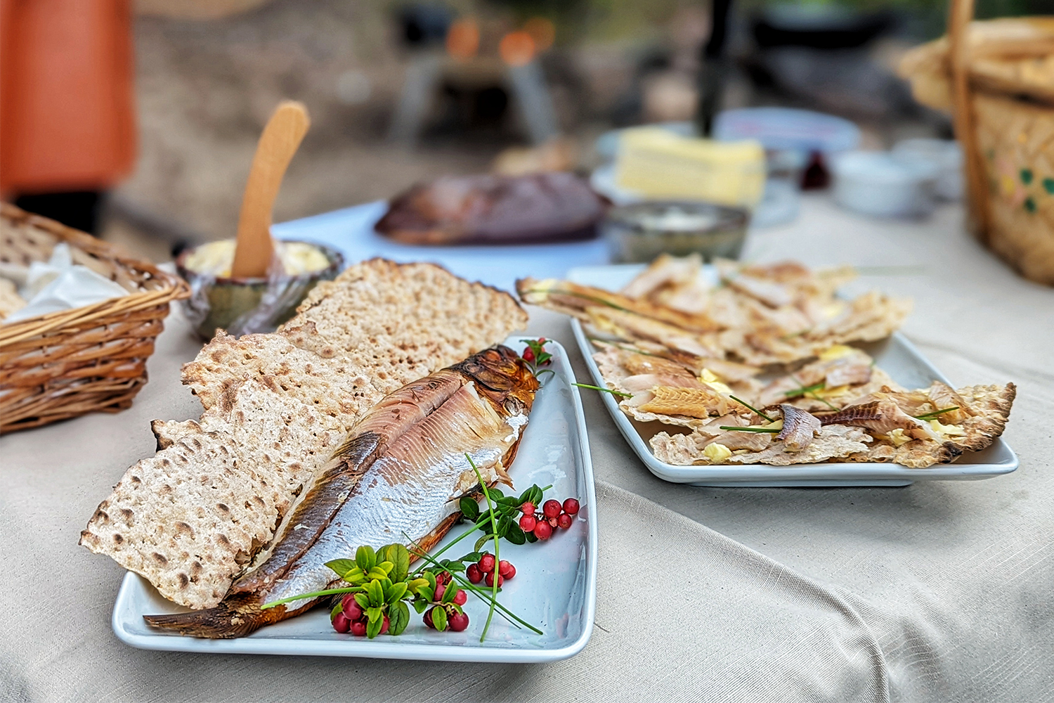A picnic of fish, bread and foraged ingredients in Swedish Lapland