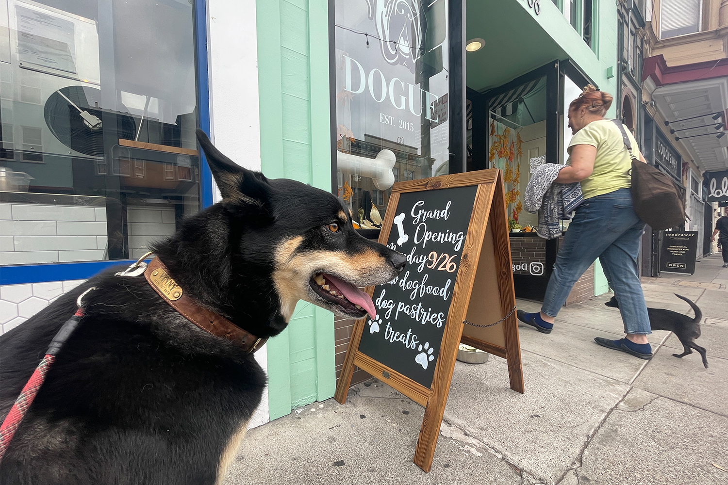 Vinny, a mutt, waiting outside Dogue in San Francisco for a reservation at the Bone Appetit Cafe for dogs