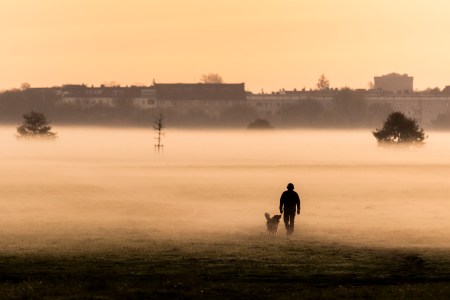 A man walking with his dog through the fog in a park.
