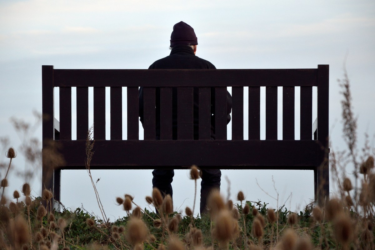 An elderly man sits alone on a bench in the countryside. A new study looks at the reason why old people are so lonely.