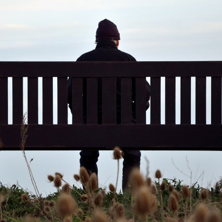 An elderly man sits alone on a bench in the countryside. A new study looks at the reason why old people are so lonely.