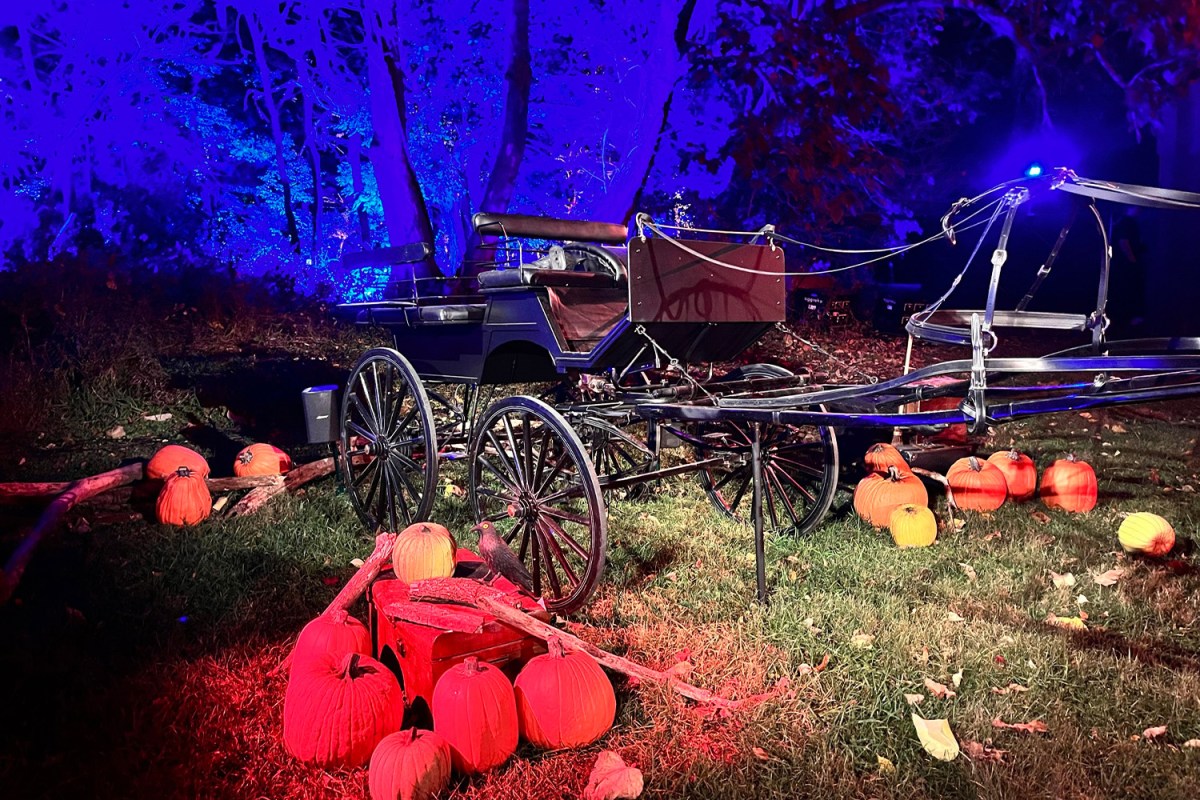 Harry Potter Comes to Leesburg With Forest Experience InsideHook