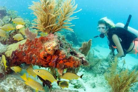 A Perfect Weekend in the Keys: Scuba Diving, Sport Fishing and a Ride on the “African Queen”