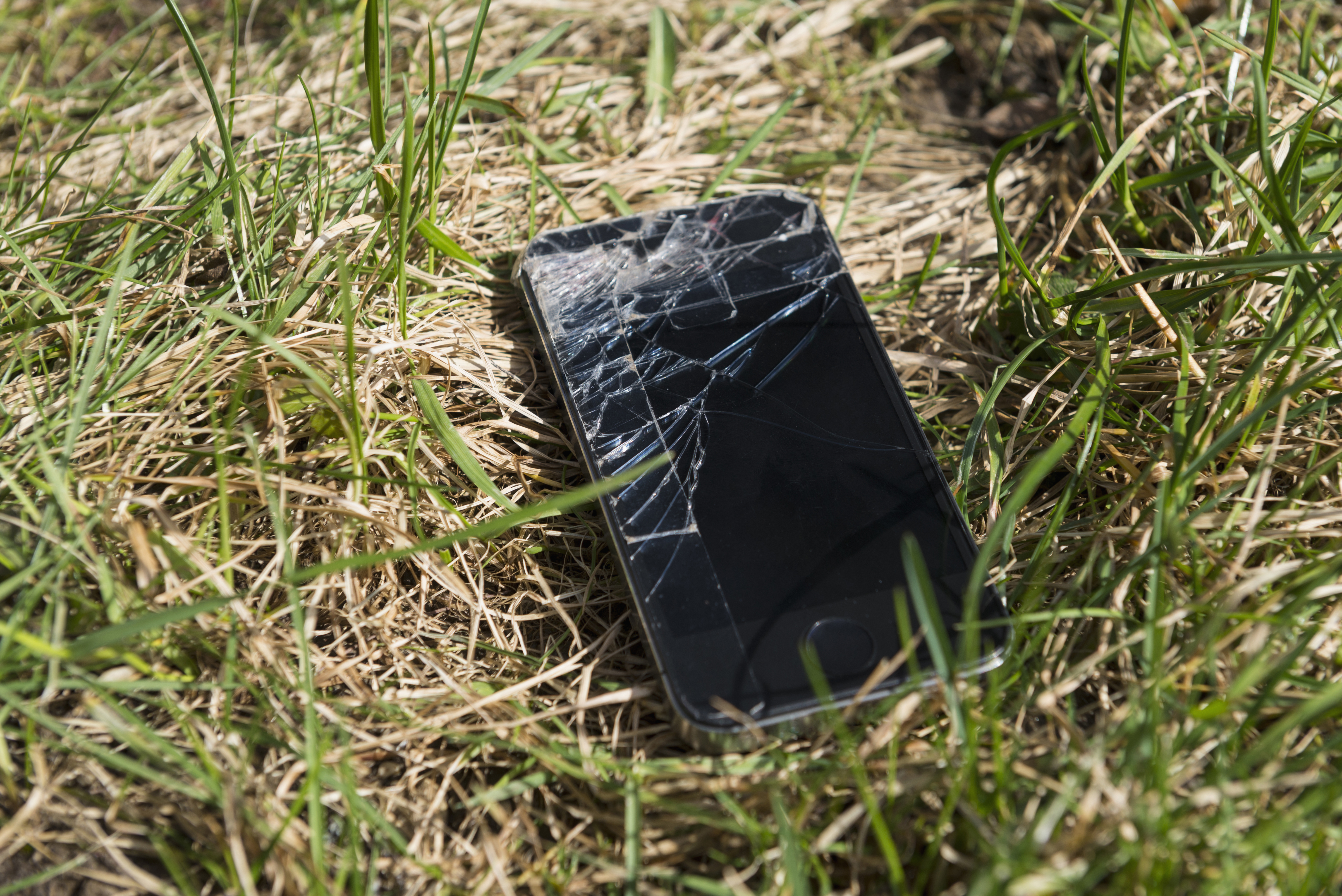 A shattered smartphone lying in a patch of grass.