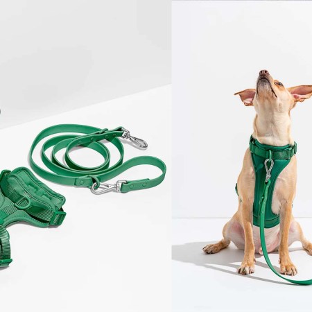 Save 14% on Our Dog Harness Kit of Choice