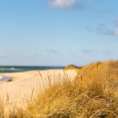 The beach in Nantucket with grass in the foreground and sand and waves in the background