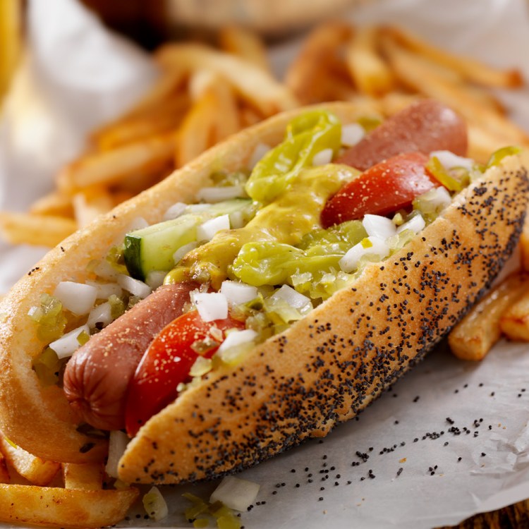 A Classic Chicago Dog with Fries and a Beer