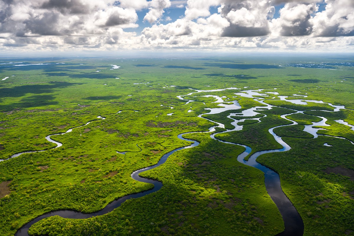 Aerial view of Everglades National Park in Florida