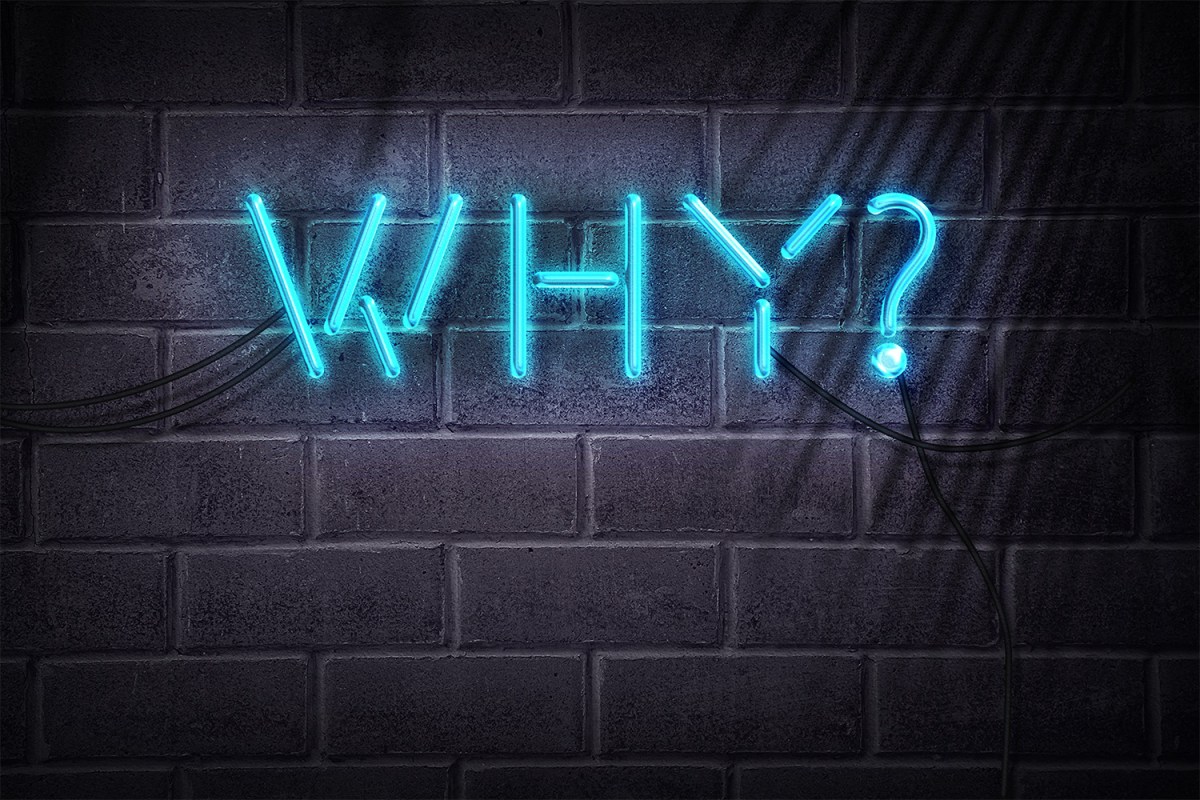 neon sign saying why