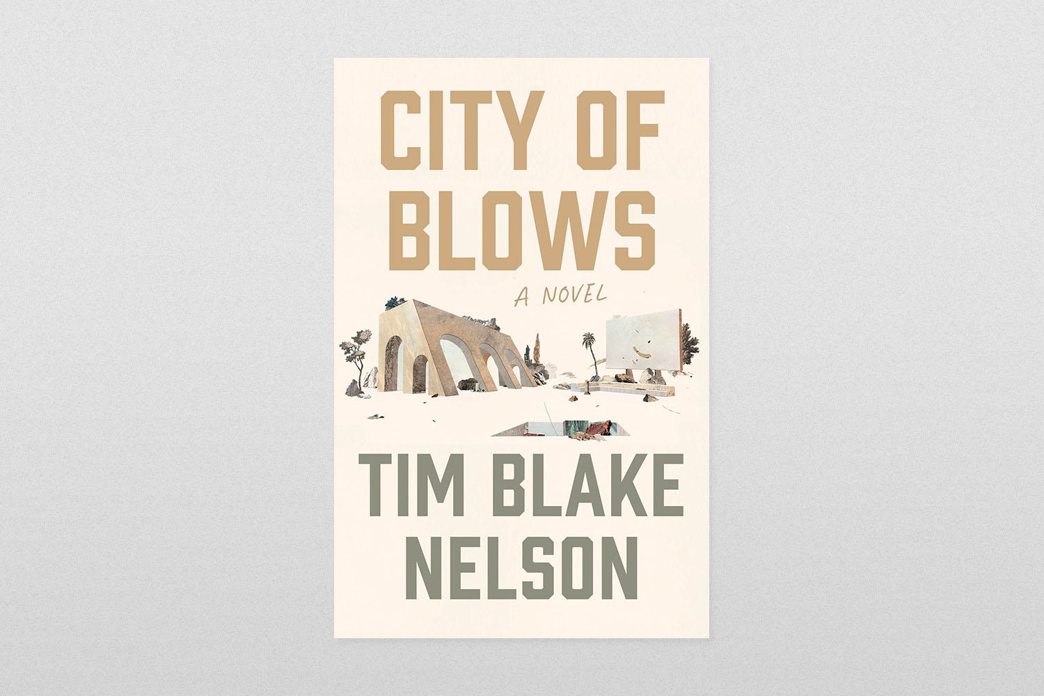 City of Blows by Tim Blake Nelson