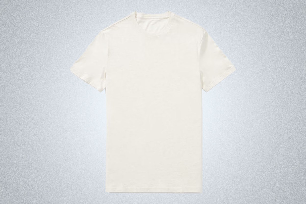Best Affordable T-Shirt: Everlane The Organic Cotton Crew