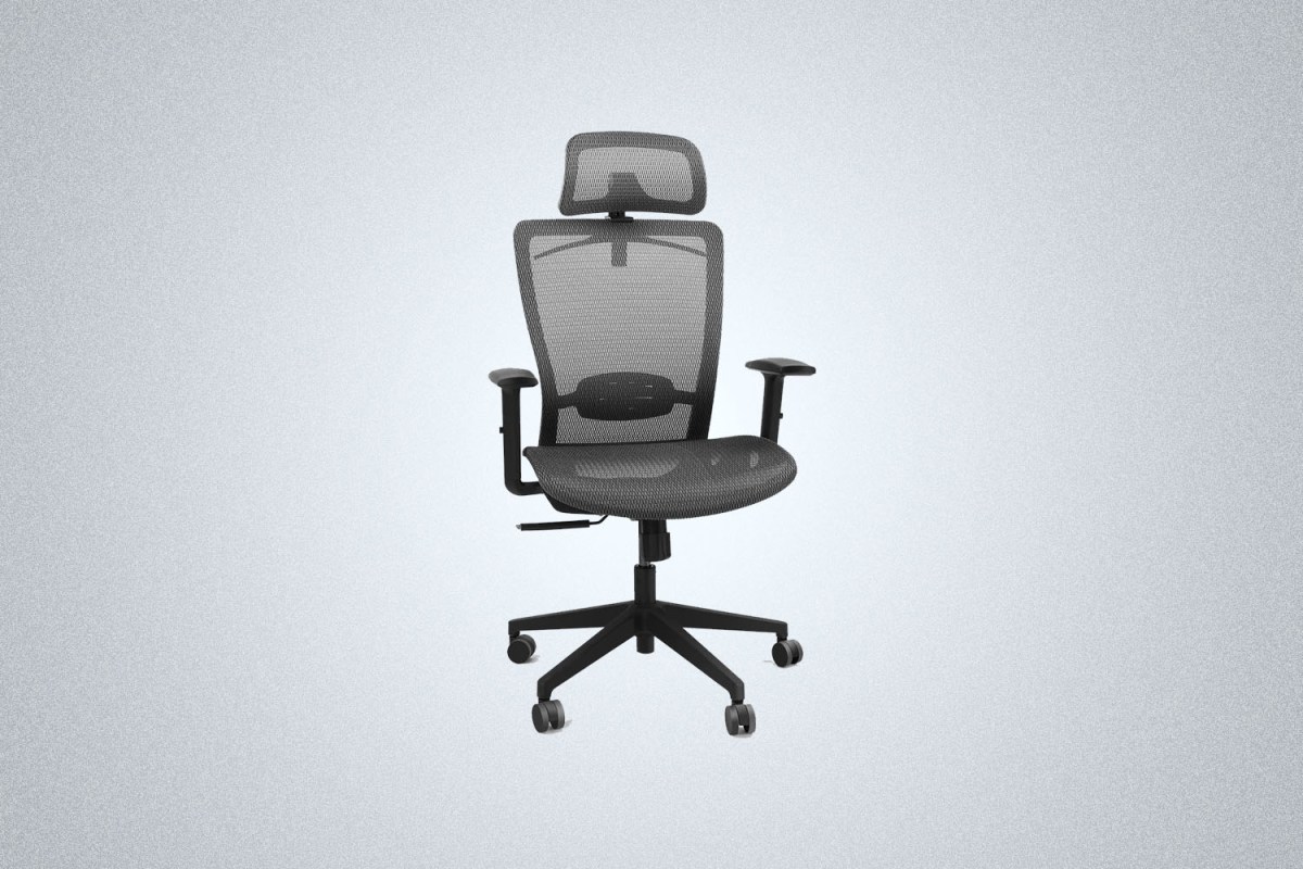 Flexispot Chair