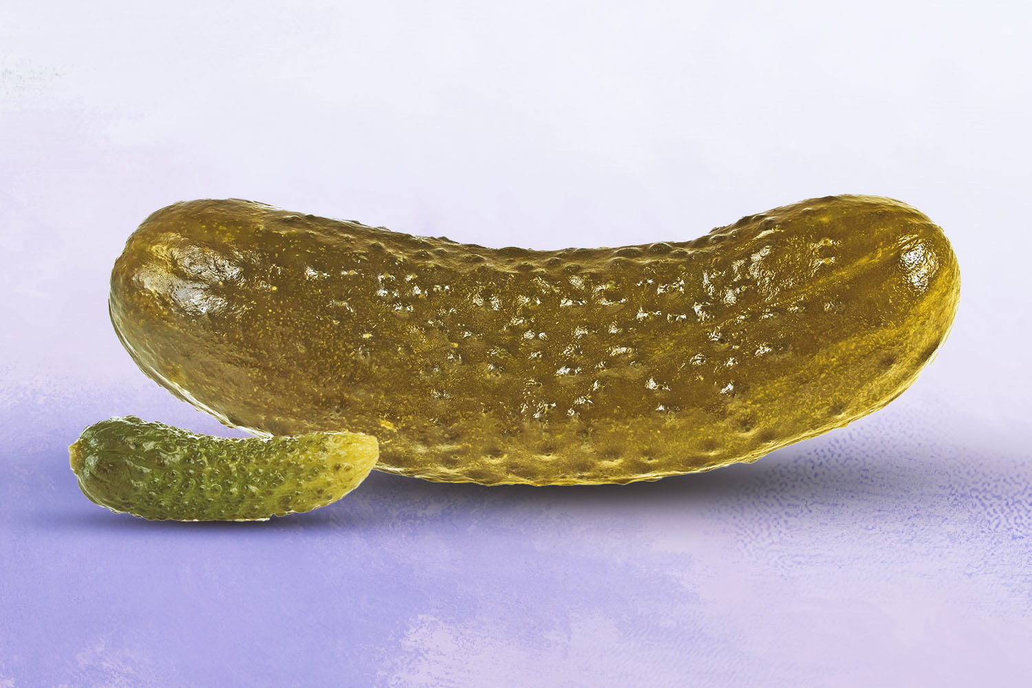 a large pickle next to a cornichon on a gradient purple background