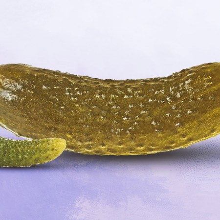 a large pickle next to a cornichon on a gradient purple background