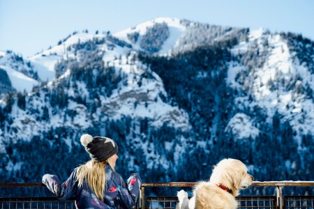 Bring Your Four-Legged Friend to These Dog-Friendly Ski Resorts 