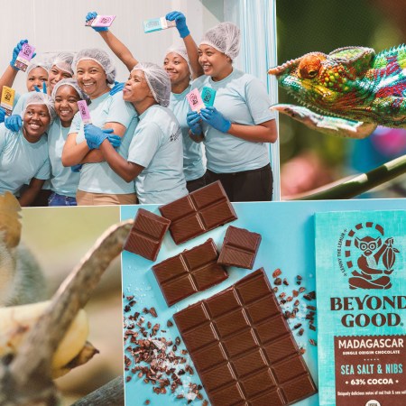 Beyond Good chocolate collage