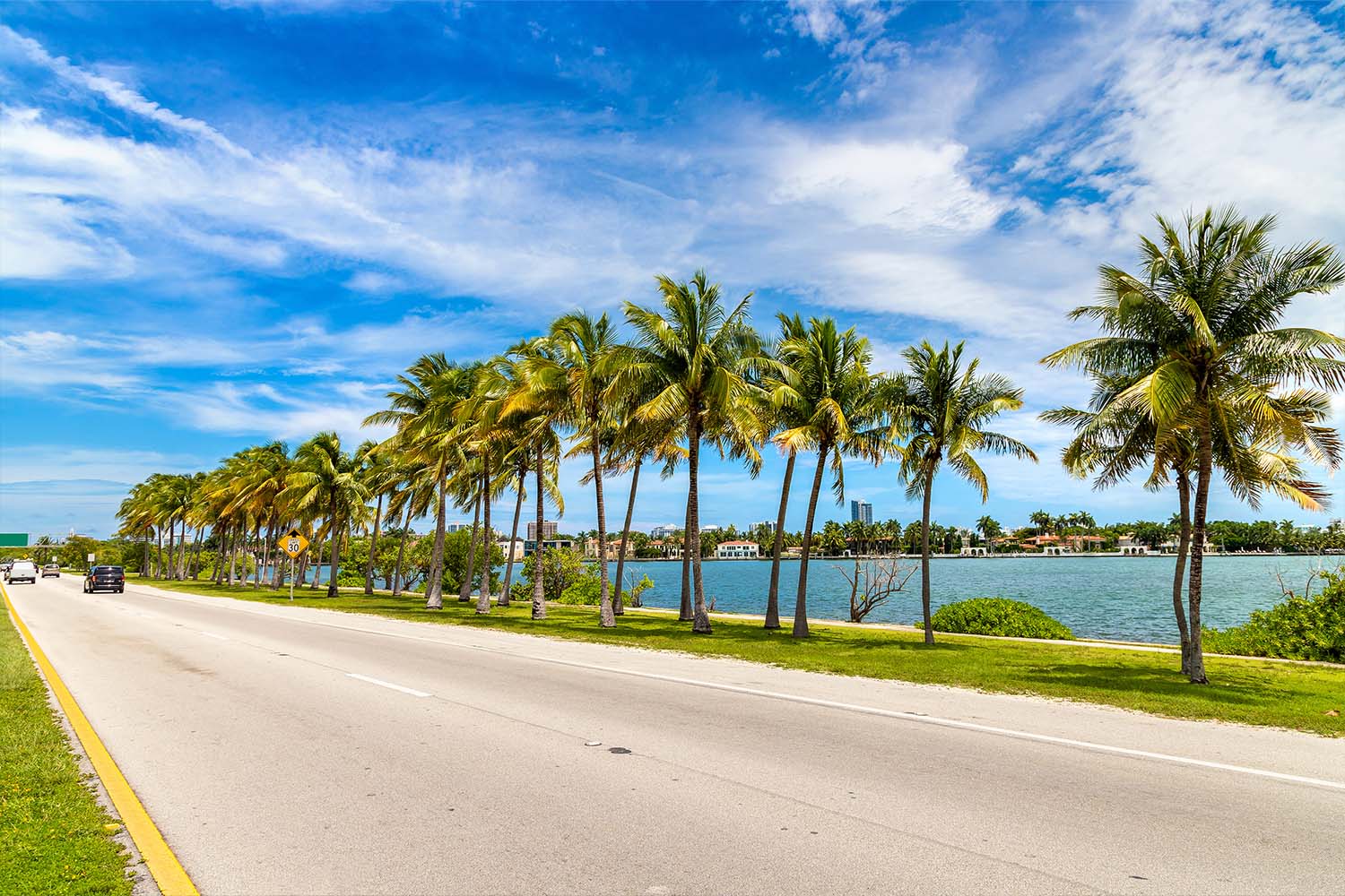 Palm trees and road in Miami Beach, Florida