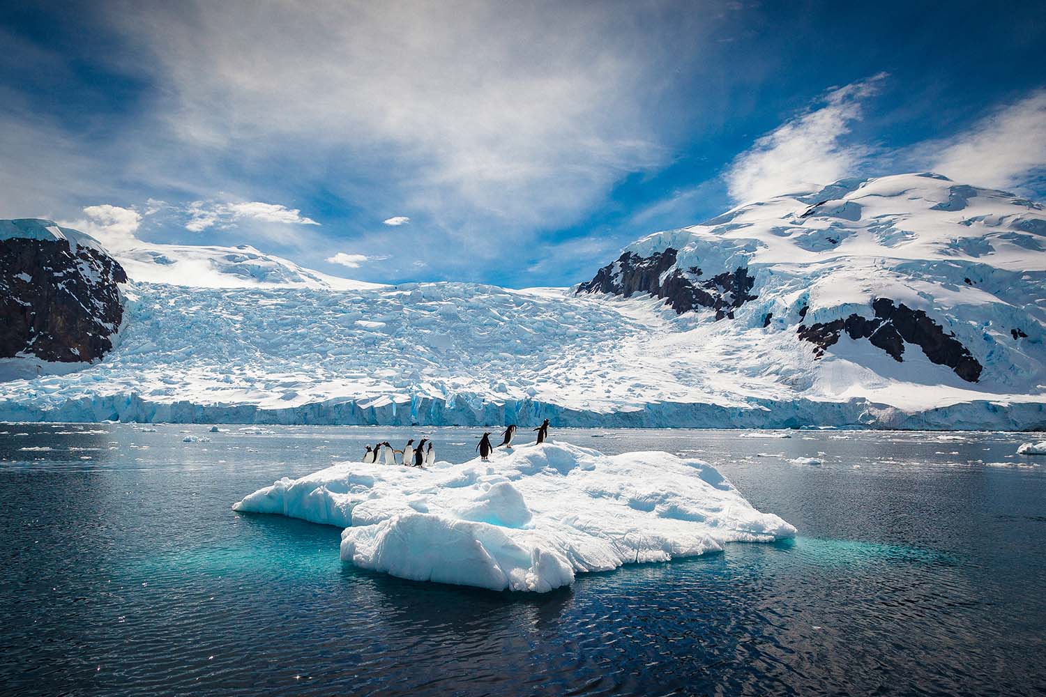 Penguins relaxing on an iceberg