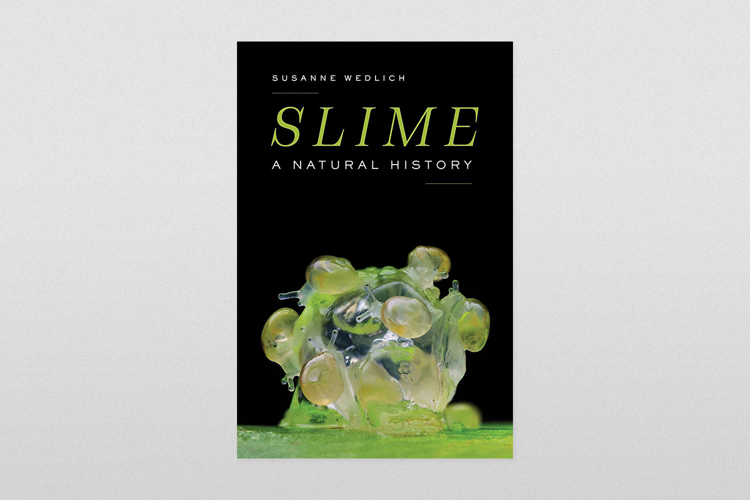 Slime- A Natural History by Susanne Wedlich