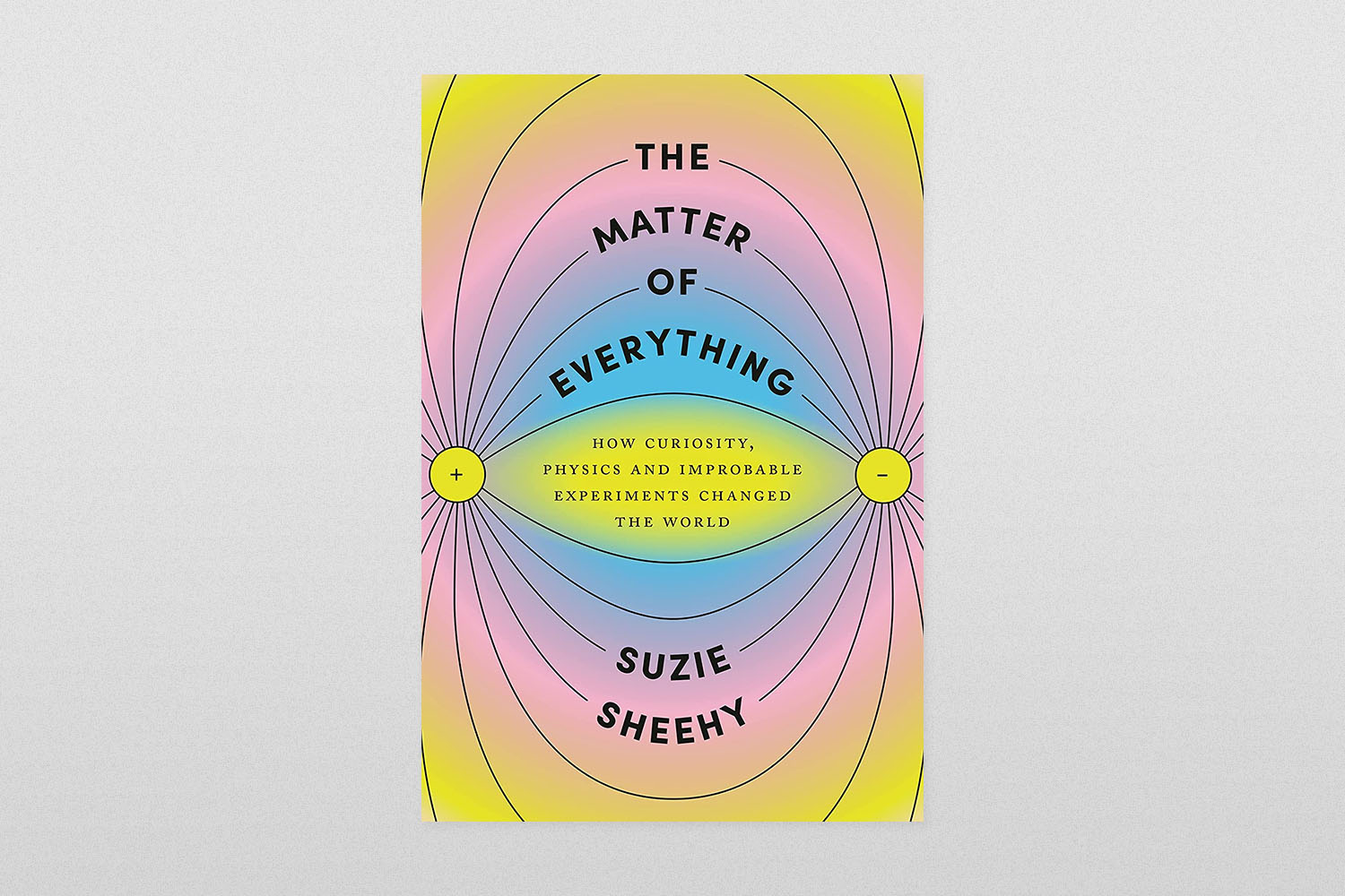 The Matter of Everything- How Curiosity, Physics, and Improbable Experiments Changed the World