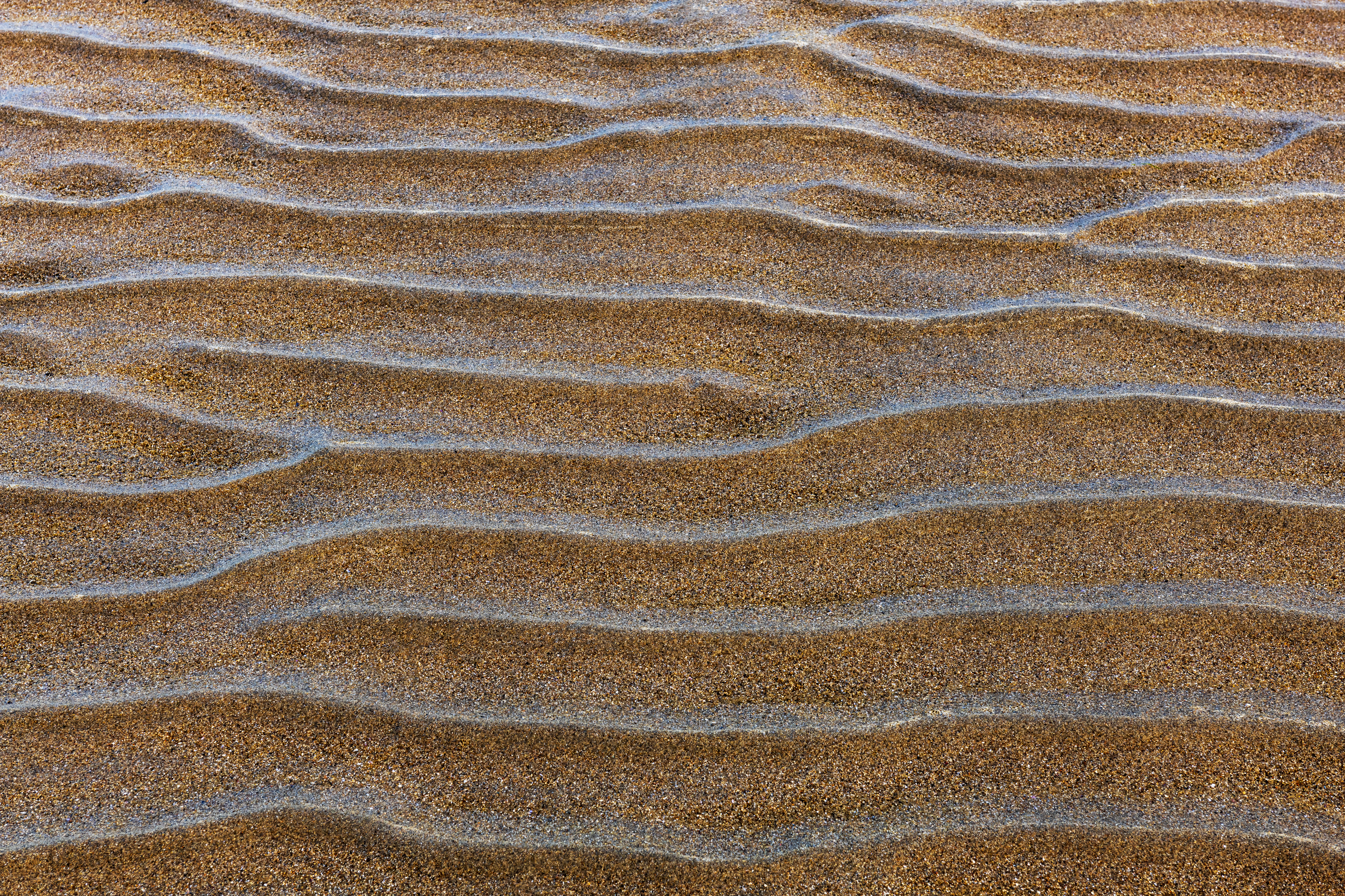 Waves of brown sand.