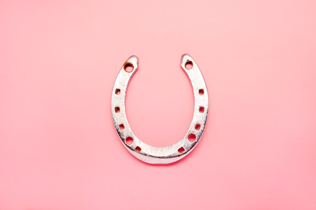 A horseshoe on a pink background.