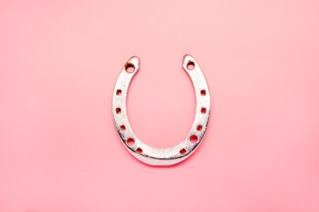 A horseshoe on a pink background.