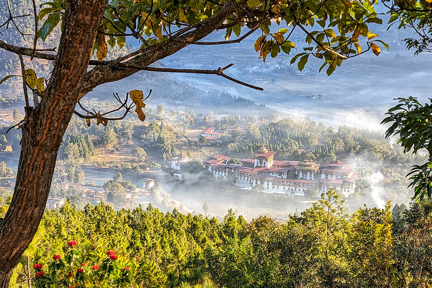A Information to Bhutan: From the Finest Resorts to New Journey Guidelines
