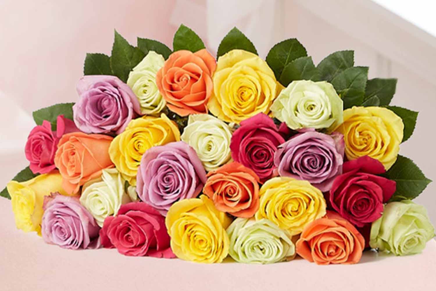 Two Dozen Assorted Roses from 1-800-Flowers.com