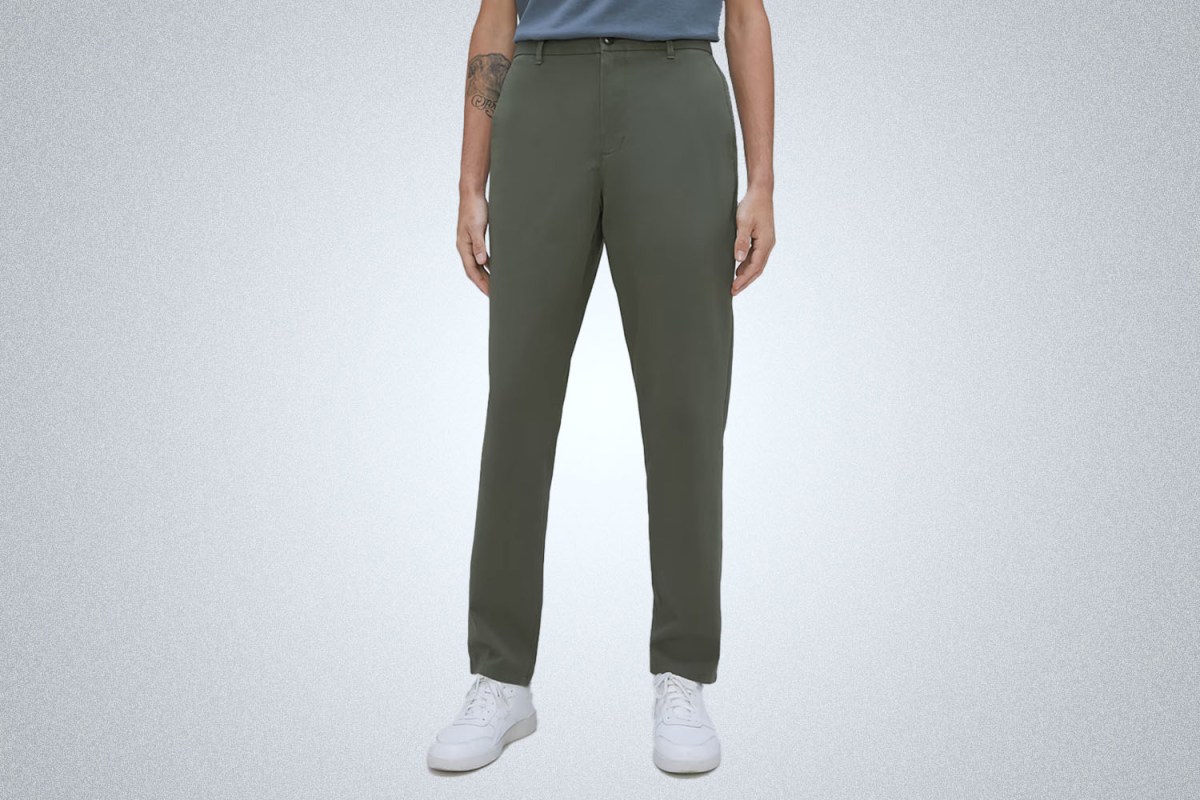 Everlane The Performance Chino