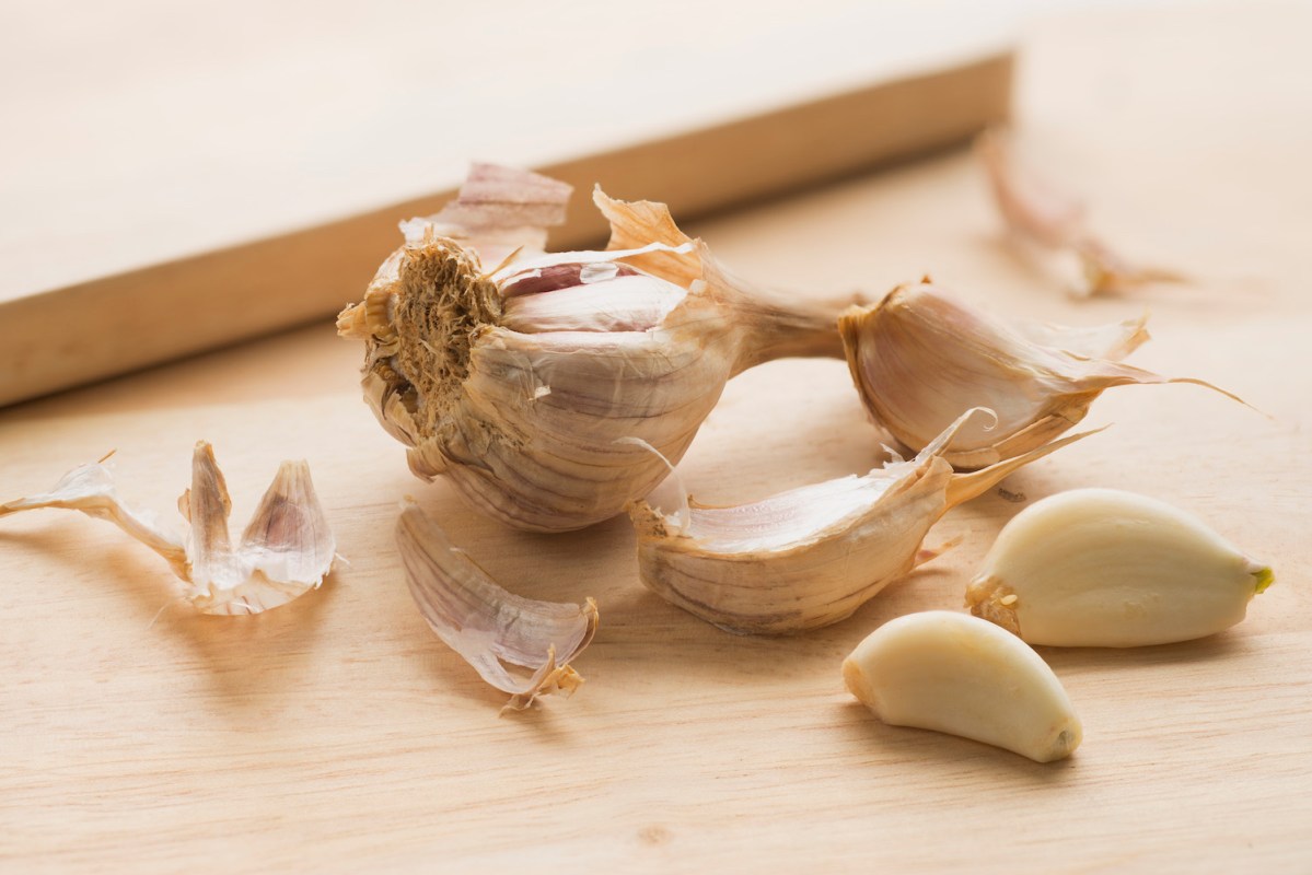 a head of garlic next to two unpeeled cloves and two peeled cloves
