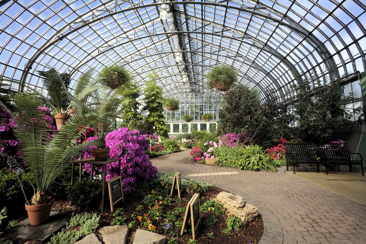 The Garfield Park Conservatory in Chicago, Illinois, a perfect activity for escaping the cold during the winter