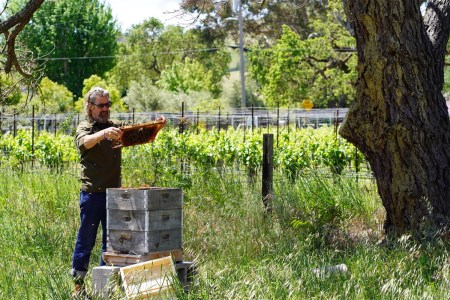 Rob Keller, a beekeeper in Napa Valley, is seen with one of his many beehives