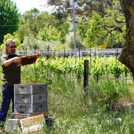 Rob Keller, a beekeeper in Napa Valley, is seen with one of his many beehives