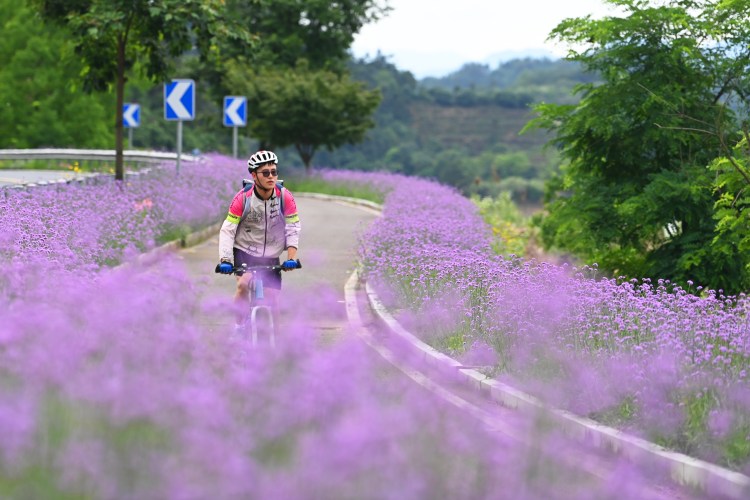 A man biking past flowers.