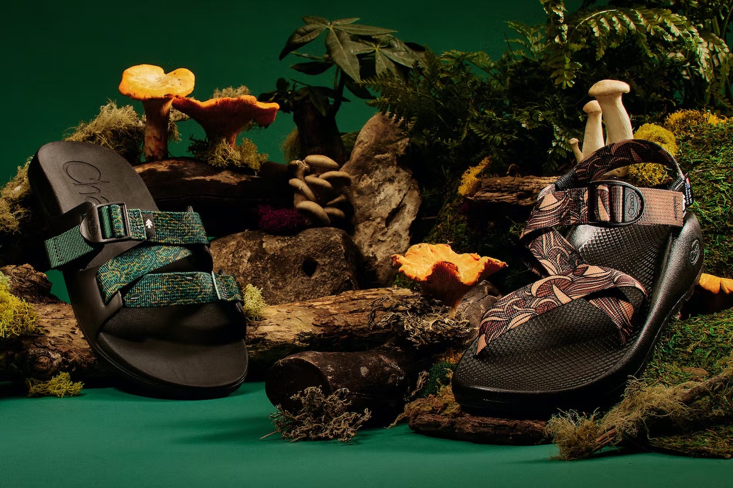 a photo of the two shoes from the Chaco x Huckberry Forest Floor Collection