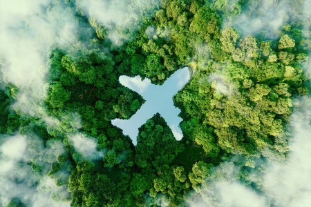 overhead image of a plane flying over trees