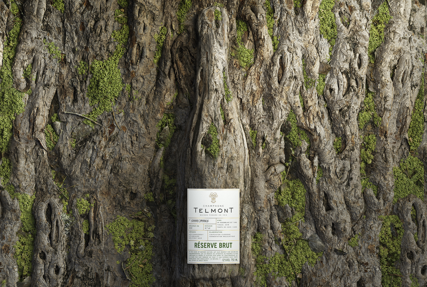 champagne telmont bottle covered in tree roots