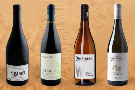lineup of lazio wines on a backgrund of faded pasta noodles