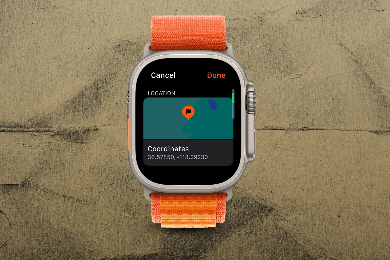 Toolwatch Sticker 10 Best Tool Watches: Functionality and Style Combined - InsideHook