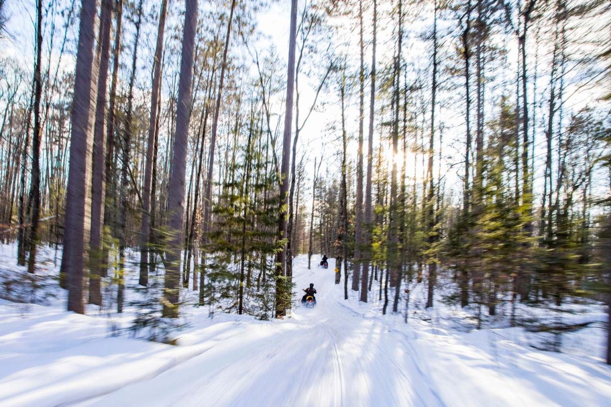 Snowmobilers in the woods in Oconto County
