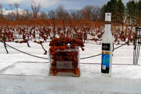 Grapes and a bottle of Iniskillin icewine in Niagara, Canada