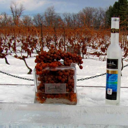 Grapes and a bottle of Iniskillin icewine in Niagara, Canada