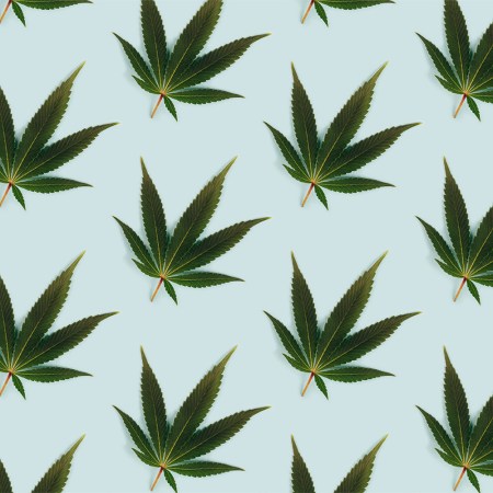 A cannabis leaf print on a blue background