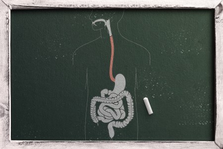 A chalkboard drawing of the internal organs.