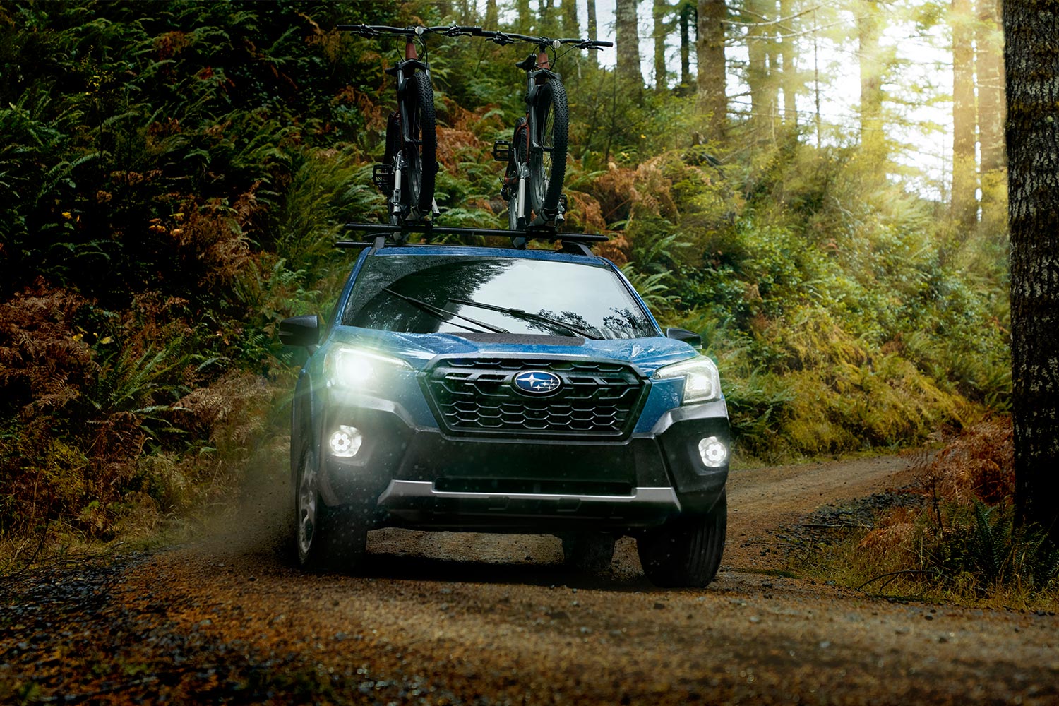 The Subaru Forester Wilderness driving in the forest with two bikes on the roof rack